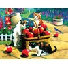 Sunsout - Puzzle We Found A Bumper Crop - 1 000 kosov