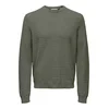 Only & Sons Pulover ONSLoui temno zelena