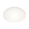 Briloner 7377-016 - LED Zatemnitvena stropna svetilka LED/12W/230V 3000-6500K