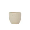 Aoomi Iris Mug A04 80 ml