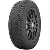 Toyo Observe EWS1 ( 255/45 R20 105V XL, sa zaštitnom lajsnom za felne (FSL) )