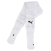 Nogavice Puma teamFINAL Socks