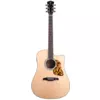 Levinson LDC25 Missouri Cutaway