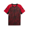 PUMA individualLIGA Graphic Football Jersey Men, Sport, Red/White/Black, S