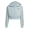 Adidas JG AN 3S FT FZ, dječija jakna, plava C8819