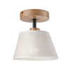 Plafonski luster ANTONIO 1xE14/60W/230V, beli