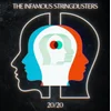 The Infamous Stringdusters - 20 / 20 (CD)