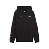 Mens Puma F1 SDS2.0 T-Shirt, Black, Size M, Motorsport
