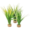 GB DEKORACIJA ZA AKVARIJ OASIS BABY