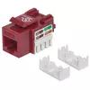 Intellinet 210478 Keystone modul C5 UTP rdeč