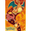 Pokémon - Fire Type Maxi Poster