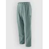 Patagonia Free Wall Pants blue sage