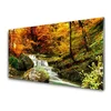 tulup.si Steklena slika Forest slap narava 140x70 cm 2 obešalnika