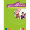 Die Deutschprofis