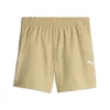 PUMA Essentials Training 5 Shorts Men, Clothing, Sand Dune, 4XL