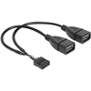 Delock USB 2.0 Ykabel [1x USB 2.0 vtič interno. - 2 x USB 2.0 vtič] 0,20 m črn Delock