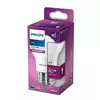 Philips LED sijalica snage 5W PS720