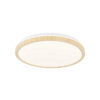 LED plafonsko svetlo GANDAVA LED/24W/230V