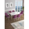 Hanah Home Set Trpezarijski sto i 6 stolica Han, Ljubičasto-beli