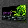tulup.si Slika na akrilnem steklu Lepe sveče spa 100x50 cm 2 obešalnika