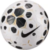 Nike Žoga Control Match Ball