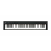 Korg D1