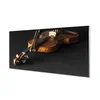 tulup.si Slika na steklu Violina 120x60 cm 4 obešalnika