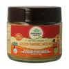 Organic India Organska smeša za prirpremu zlatnog mleka za 40 napitaka, 100 g