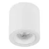 Plafonska lampa AFS116-1C WH