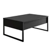 Hanah Home Luxe Sto za dnevnu sobu, Crna