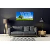 tulup.si Slika na akrilnem steklu Grass tree narava 100x50 cm 2 obešalnika