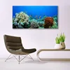 tulup.si Slika na akrilnem steklu Barrier reef narava 140x70 cm 4 obešalnika