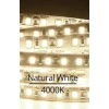 Vivalux LED trak 2835 18W/m 4000K 120leds/m 12V IP20 5m