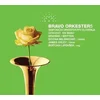 BRAVO ORKESTER 5/MILENKOVIĆ,LIPOVŠEK,OXLEY