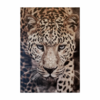 Mystic Leopard – stenska slika – 65 x 92,5 cm