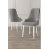 Hanah Home Set stolica Trex, 46x95x42 cm, 2 komada, Belo-sive