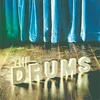 The Drums - The Drums (LP)