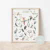 Its a moms world Edukativni poster za decu sa ramom Ptice A3