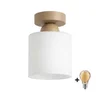 BRILAGI - LED plafonsko svetlo RETRO GLASS 1xE27/60W/230V prečnik 10 cm bež/bela