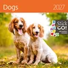 Koledar Kužki 2027, EC