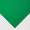 Papir boja A4 160g Tiziano 1/50 PRATO