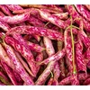 FIŽOLI VISOK ZA ZRNJE BIG PACK 70gr