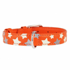 Svetleča usnjena ovratnica z zvezdicami, oranžna 27-36 cm, 15 mm