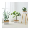 Eglo 426585 - SET od 3 dekorativnih korpi NANAE 16x27 cm bela/bež
