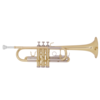 Trobenta mod. T-300 MTP