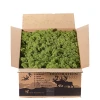 Dekorativna prirodna mahovina N70, 50g, Srednje zelena
