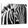 shumee Steklena deska 2x 30x52 Zebra