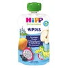 HIPP Hippis Voćni pire za decu Jabuka i kruška sa zmajevim voćem i ribizlom 12M+, 100g
