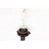 OEM Sijalica Xenon - H7 35W AC
