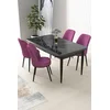 Hanah Home Set Trpezarijski sto i 4 stolice Nil, Ljubičasto-crni